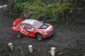 Rally_Ireland,_Hradek_nad_Nisou_377