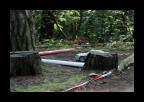 28.6.2009_-_Rc_rally_Cista_124