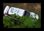 28.6.2009_-_Rc_rally_Cista_276