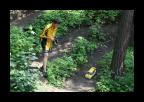 28.6.2009_-_Rc_rally_Cista_282