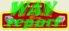 Zvukov report