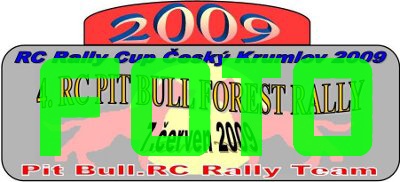 FOTO 4. RC Pit Bull Forest Rally