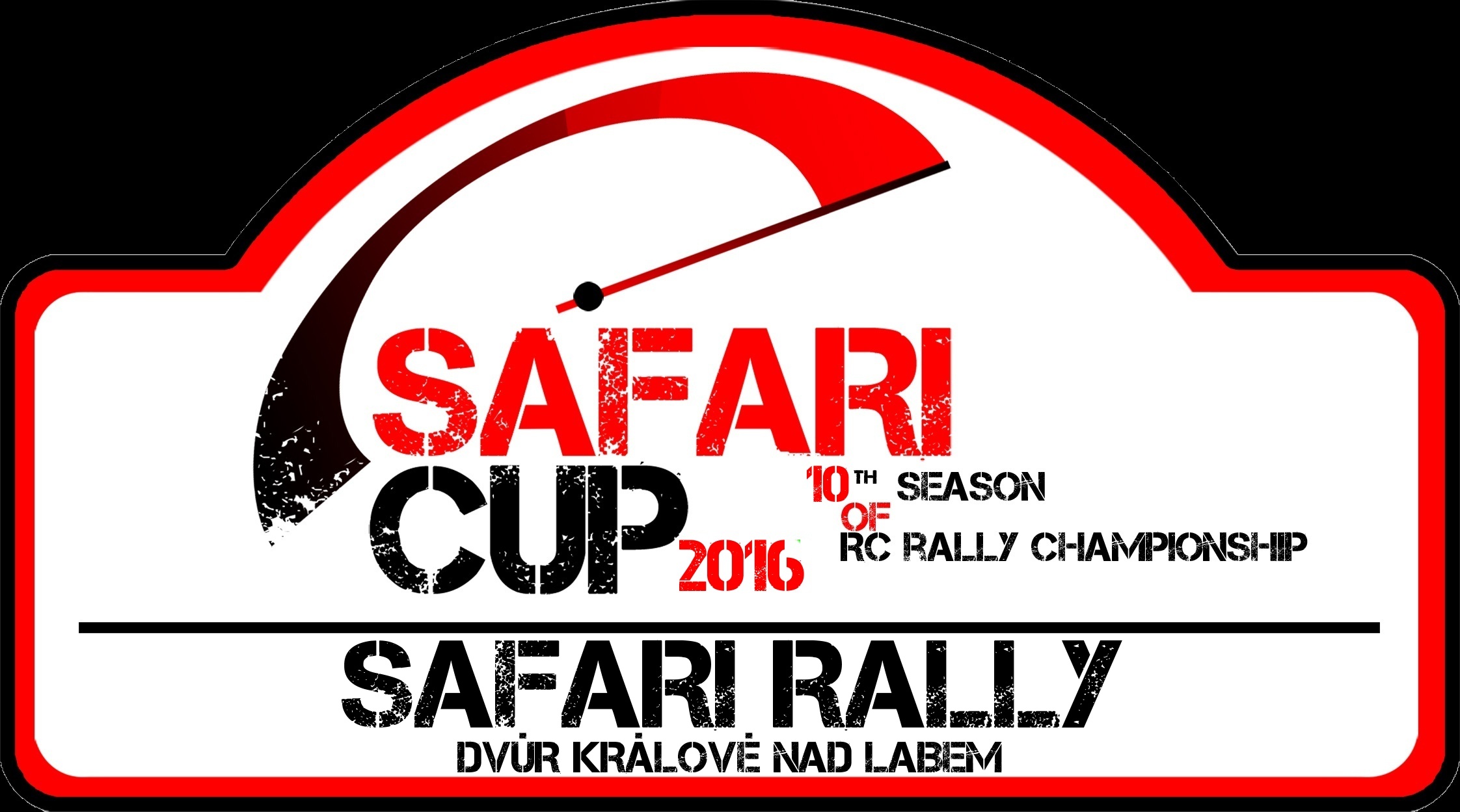 Rally TORINO 2016